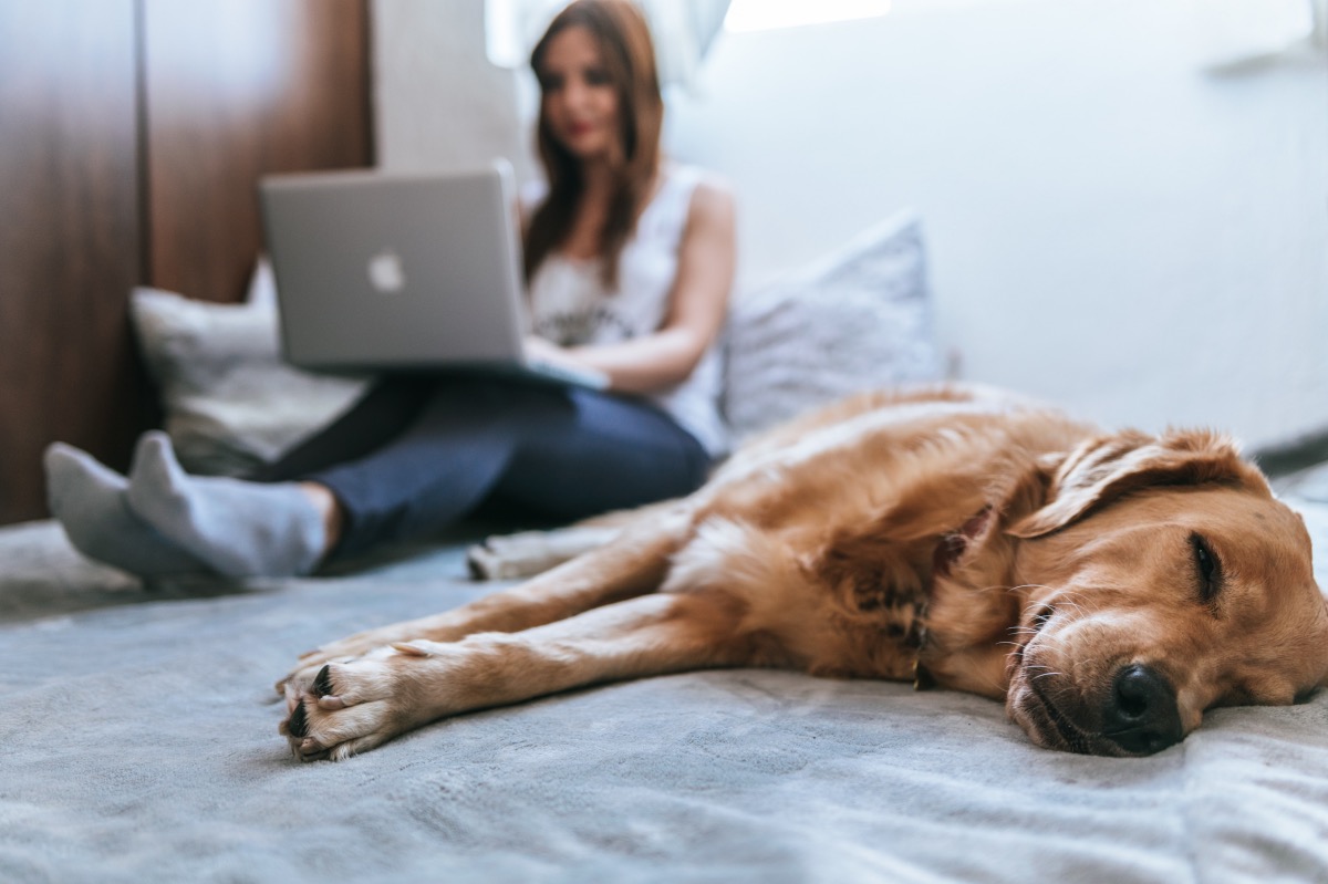 So finden Sie die passende Hose für die Arbeit im Home Office 